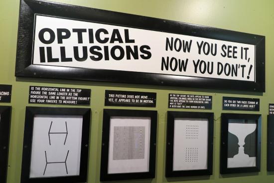 World of Illusions